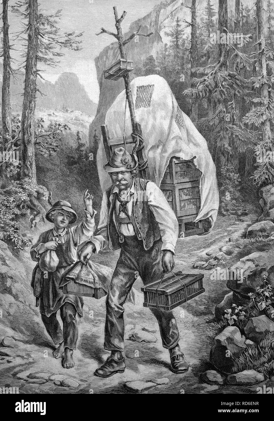 Ein Vogelfänger in den Alpen, historische Abbildung ca. 1893 Stockfoto