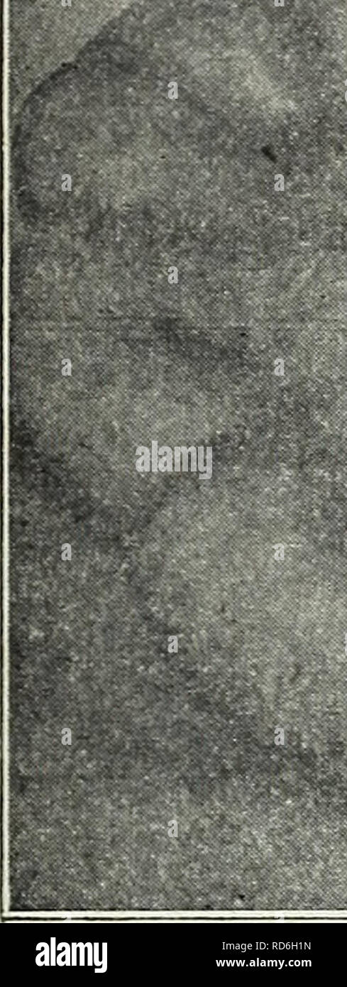 . Currie's Farm und Garten jährliche: Frühjahr 1930. Blumen Samen Kataloge, Leuchtmittel (Pflanzen) Samen Samen Kataloge Kataloge; Gemüse; Baumschulen (Gartenbau) Kataloge; Pflanzen, Zierpflanzen Kataloge; Gartengeräte und Zubehör Kataloge. = € Currie Same Store, Milwaukee, Wisconsin&gt;. Bitte beachten Sie, dass diese Bilder sind von der gescannten Seite Bilder, die digital für die Lesbarkeit verbessert haben mögen - Färbung und Aussehen dieser Abbildungen können nicht perfekt dem Original ähneln. extrahiert. Currie Brüder Unternehmen; Henry G. Gilbert Baumschule und Saatgut Handel Katalog Kollektion. Milwa Stockfoto