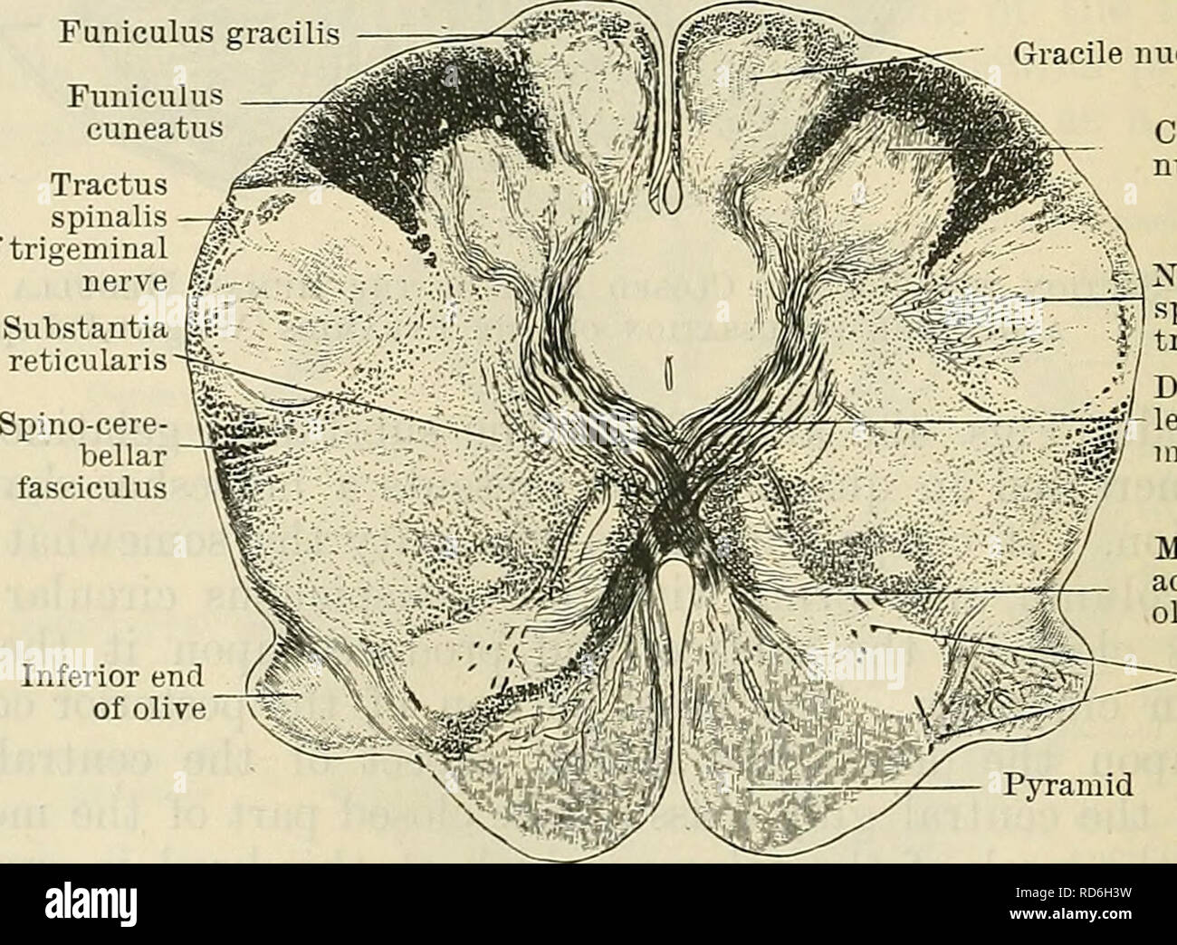 Diskussion Von Pyramiden Stockfotos Und Bilder Kaufen Alamy