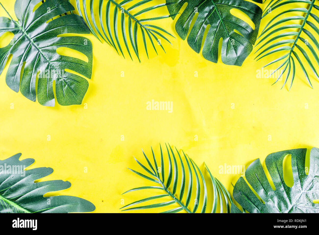 Tropischen Hintergrund. Palm und monstera Blätter auf Gelb blauen Hintergrund. Flatlay, Ansicht von oben, minimale Layout, Sommer Konzept Stockfoto