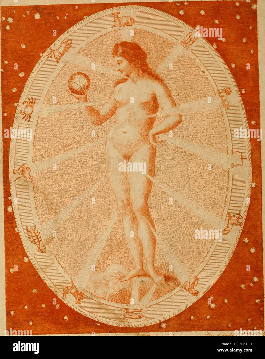 . Culpepper der englische Arzt; und vollständige Kräuter. Botanik, Medizin; Materia medica, Gemüse; Materia Medica; Botanik; Pflanzen, Arzneimittel. /&Gt; r,/.//Jr/i". Bitte beachten Sie, dass diese Bilder sind von der gescannten Seite Bilder, die digital für die Lesbarkeit verbessert haben mögen - Färbung und Aussehen dieser Abbildungen können nicht perfekt dem Original ähneln. extrahiert. Culpeper, Nicholas, 1616-1654; Sibley, Ebenezer, 1751-1800. London: Gedruckt für das Thema, und in der britischen Verzeichnis Office verkauft Stockfoto