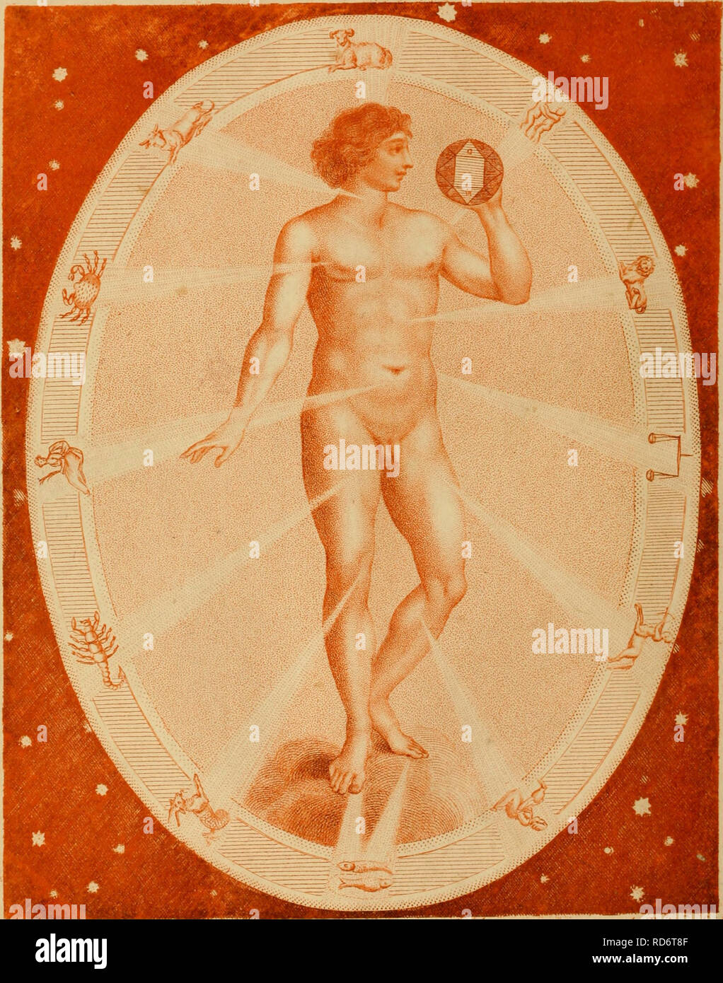 . Culpepper der englische Arzt; und vollständige Kräuter. Botanik, Medizin; Materia medica, Gemüse; Materia Medica; Botanik; Pflanzen, Arzneimittel. /.-. M/A/i/i^1. Bitte beachten Sie, dass diese Bilder sind von der gescannten Seite Bilder, die digital für die Lesbarkeit verbessert haben mögen - Färbung und Aussehen dieser Abbildungen können nicht perfekt dem Original ähneln. extrahiert. Culpeper, Nicholas, 1616-1654; Sibley, Ebenezer, 1751-1800. London: Gedruckt für das Thema, und in der britischen Verzeichnis Office verkauft Stockfoto