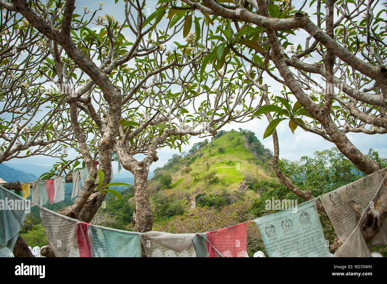 Traditionelle buddhistische Gebetsfahnen Wave in der Brise in Dambulla, Sri Lanka. Rote und grüne Girlanden frame üppige tropische Landschaft Stockfoto