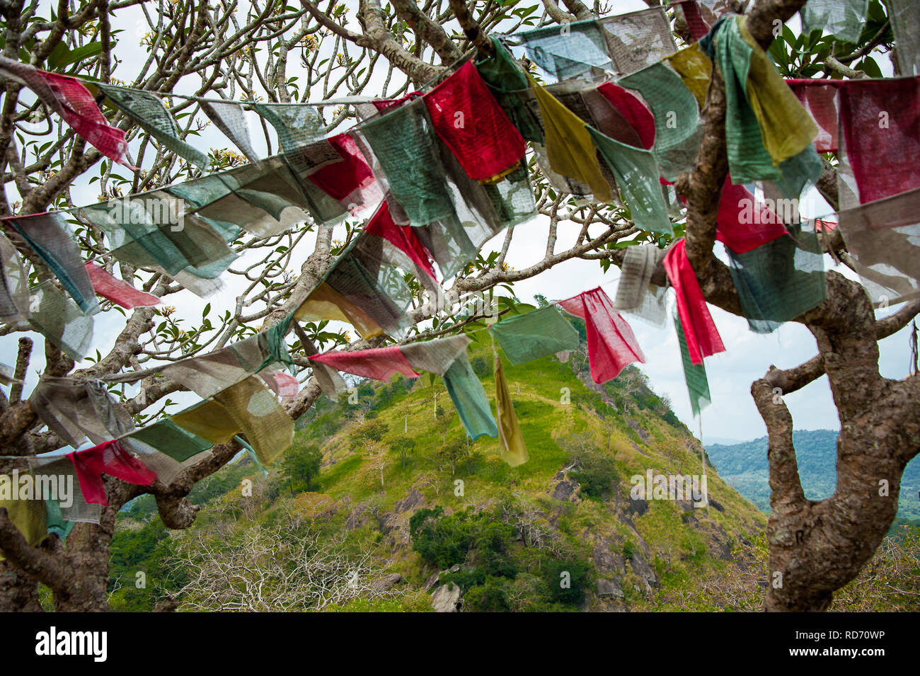 Traditionelle buddhistische Gebetsfahnen Wave in der Brise in Dambulla, Sri Lanka. Rote und grüne Girlanden frame üppige tropische Landschaft Stockfoto