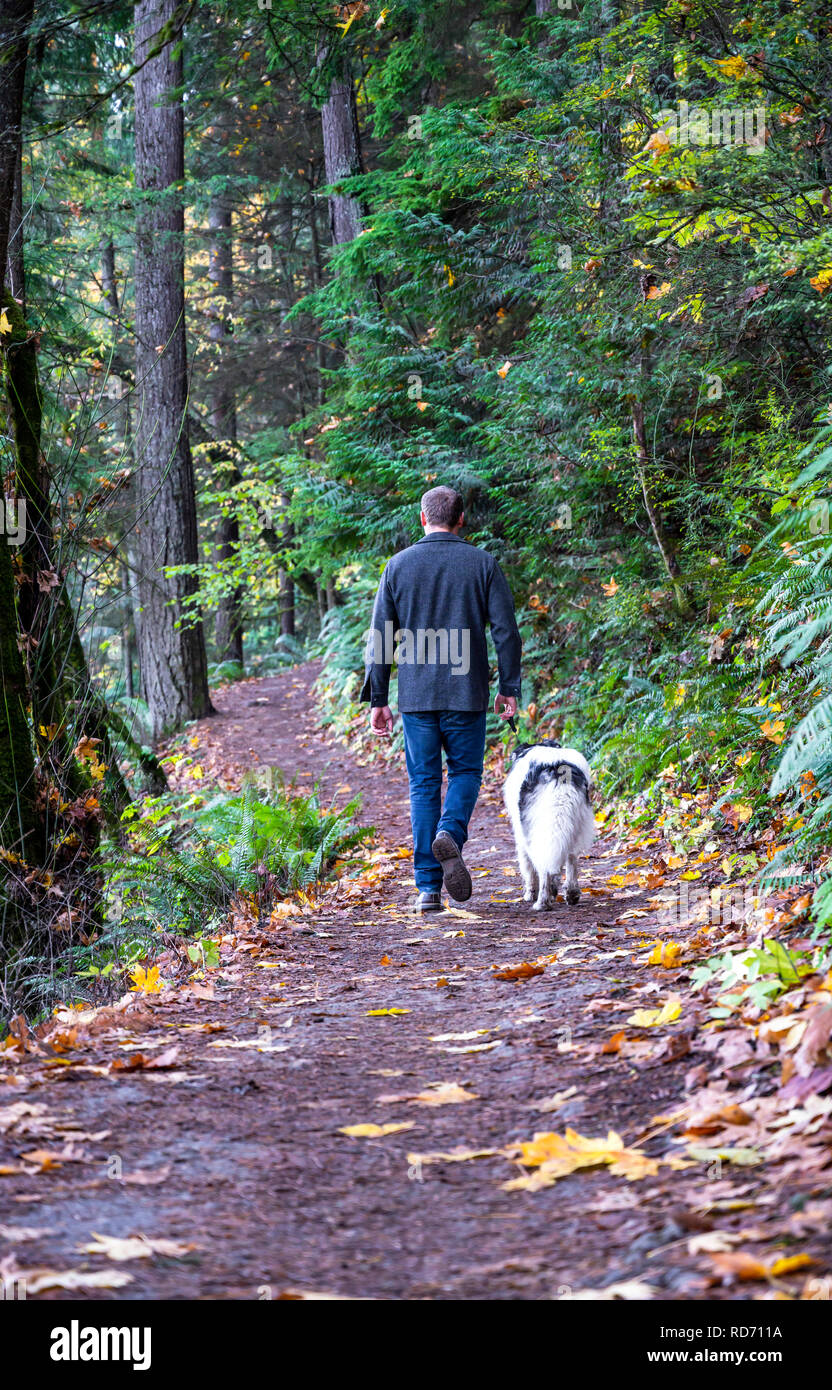 Ein junger Mann geht mit seinem Haustier, ein langhaariger Hund, auf einem Pfad in einem Wald mit vergilbten Blätter im Herbst fallen, Bummeln, genießen Sie den Duft von Stockfoto