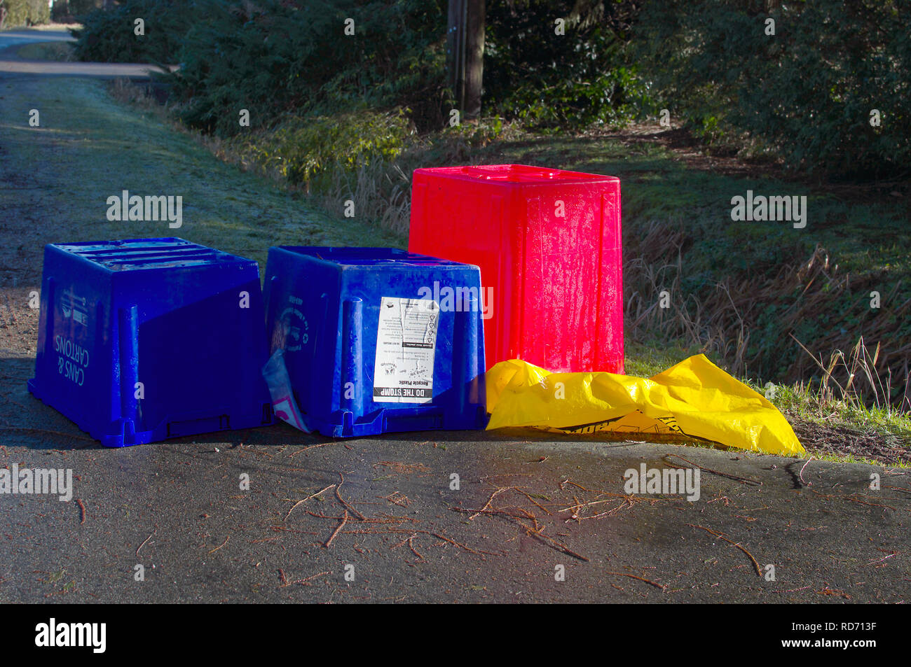 Leer nach oben Blue Box recycling Bins am Straßenrand mit einem roten bin für Kunststoffe und einer gelben Tasche für Pappe. Stockfoto