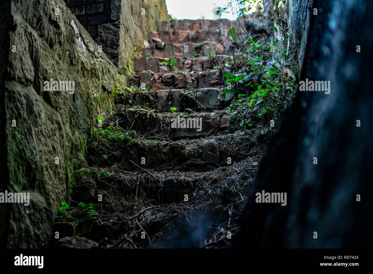 Bunkertreppe WW2 Stockfoto