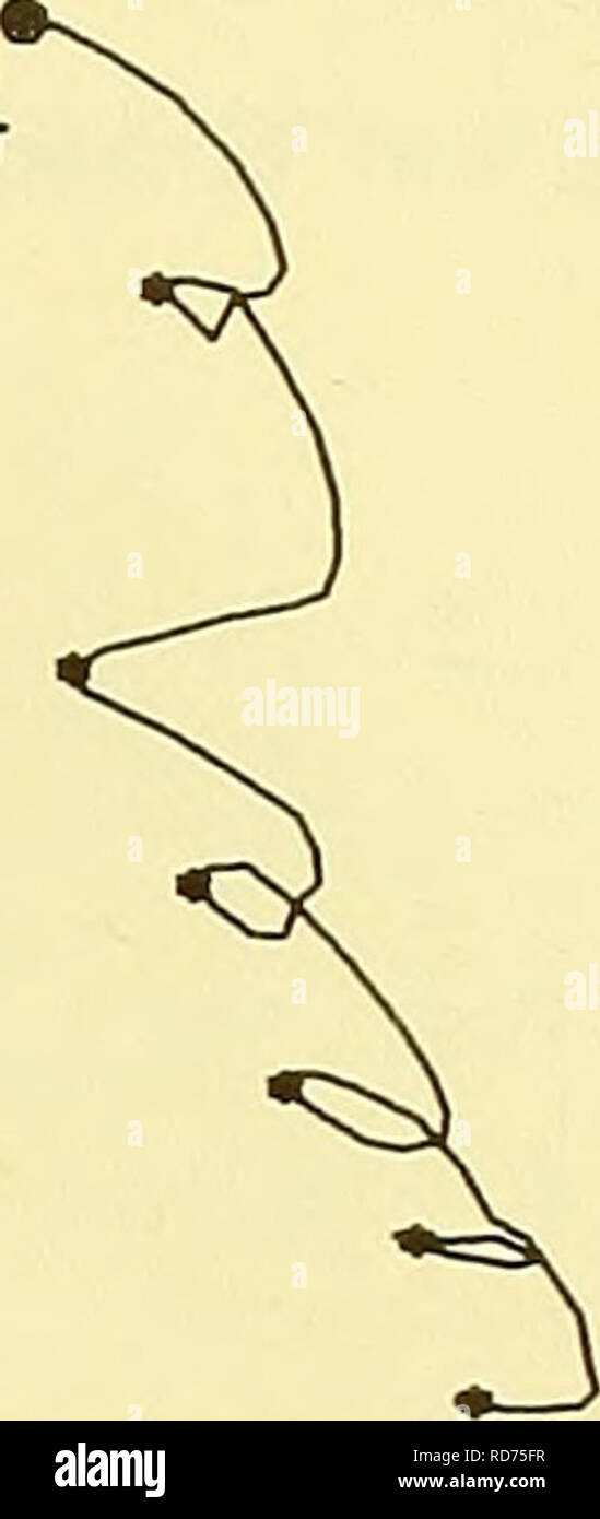 . Aktuelle meter Bemerkungen in der Massachusetts Bay. Ozeanographische Messbojen; Ozeanographische Instrumente. CO II lO o PROGRESSIVE VEKTOR fiVERflCES OIHGRflM STÜNDLICH VON strömen. 42 16. SN LANG. 70 08. SH Tiefe 25,8 f1 BEOBACHTUNGSZEITRAUM 22/VI1 I/67 BIS 25/VIII/67. 0.00 24.00 48.00 Zeit (Stunden) 72.00 96.00 "V^ 6,00 12,00 Kilometer 18,00" 24^FORST - HEST KOMPONENTE DER AKTUELLEN GESCHWINDIGKEIT LflT. 42 16. SN LANG. 70 08. SH TIEFE 2 S.a M STÜNDLICHEN RVERPCeS 22/VIII/67 BIS 25/VIII/67. Bitte beachten Sie, dass diese Bilder aus gescannten Seite Bilder, die digital für die Lesbarkeit erhöht worden sein können extrahiert werden - Färbung Stockfoto