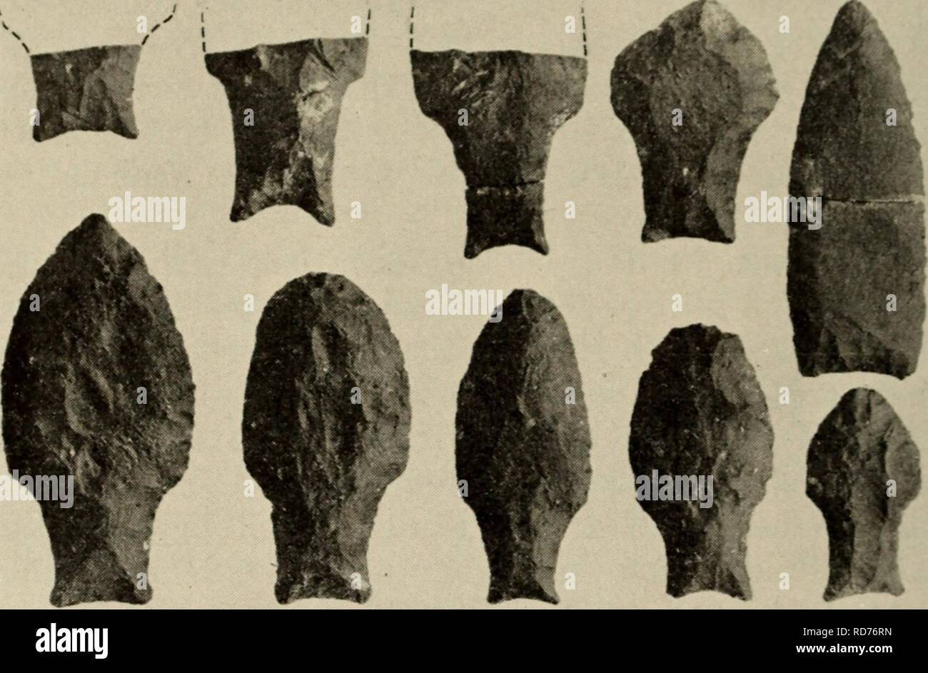. Andine Kultur geschichte. Inkas; Indianer Südamerikas. 24 ANDINEN KULTUR GESCHICHTE wohnen. Beide Höhlen wurden unter Lava Aufschlüsse über die halbwüste iilains. Die beiden Höhlen furnisli Beweis für eine historische Rekonstruktion. Ihre ersten Insassen verwendet stammte Projektil IDoints, viele roui&gt; h Schaber, Lava, Zylinder, und eine Vielzahl von Knochen abblättern Tools (Abb. 2). Knochen von. Abb. 2. Stammte Punkte mit ausgestorbenen Tiere in frühester Besetzung Ebene im Süden von Chile verbundenen Höhlen. guanako und der ausgestorbenen Masse Trägheit und Native American Horse in der gleichen Ebene zeigen, dass diese Tiere wurden ea Stockfoto