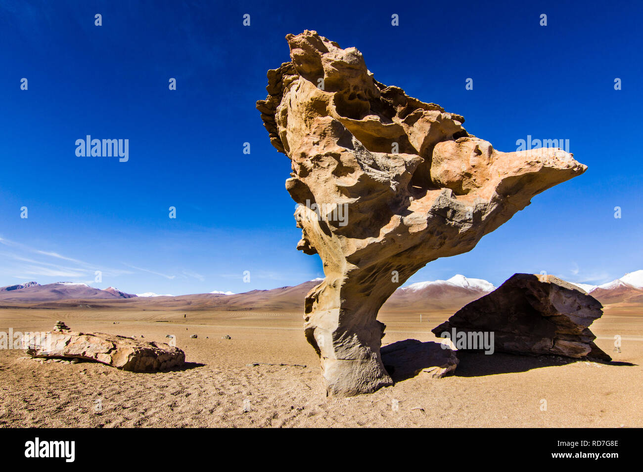 Arbol de Piedra einen Stein in der Form eines Baums auf Siloli Wüste auf dem Weg zum Salar de Uyuni, Bolivien, Südamerika, eine Ehrfurcht felsige Formation, Anden Stockfoto