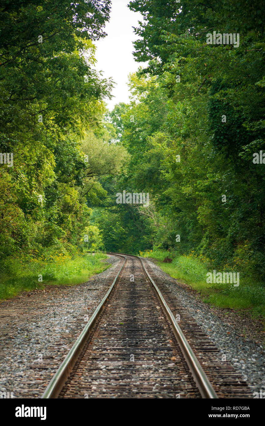 Zug durch den dichten Wald des Ohio nur National Park, Cuyahoga Valley. Stockfoto