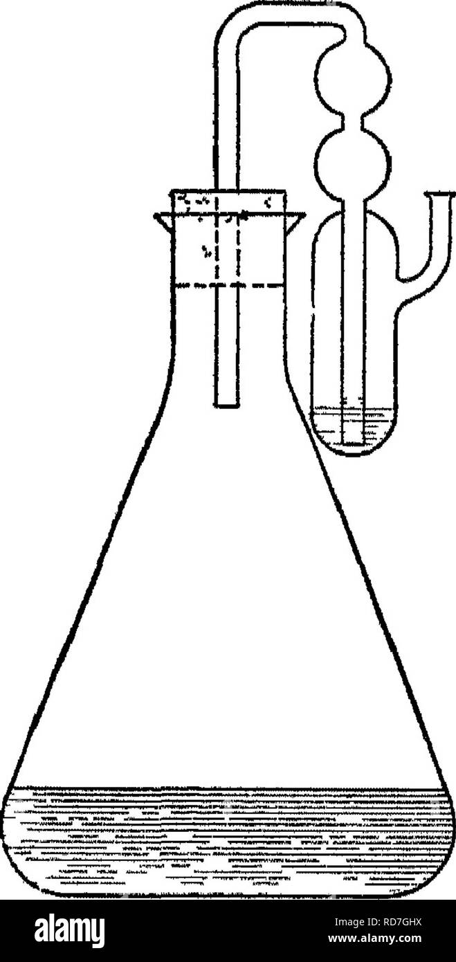 . Bakteriologie und Mykologie von Lebensmitteln. Essen. 220 Hefen und Schimmelpilze mikroskopische Untersuchung von komprimierten Hefen. Ein thm Mischung aus der Hefe in destilliertem Wasser vorbereiten. Zu dieser Mischung oder eine kleine por- Hinzufügen einer httle eines 0,1 Prozent Lösung von Methylenblau. Montieren Sie einen Tropfen dieser unter einer Abdeckung Glas auf einer Folie und der toten und lebenden Bakterien auflisten. Die toten Zellen färbt aber die lebenden Zellen nicht. Test für Verfälschung mit Bierhefe. Praktisch alle Bier Hefen vergären rafiinose, während das Brot Hefen in der Regel nicht tun. Eine gm. der Hefe ist mit etwa 10 c.c gemischt Stockfoto