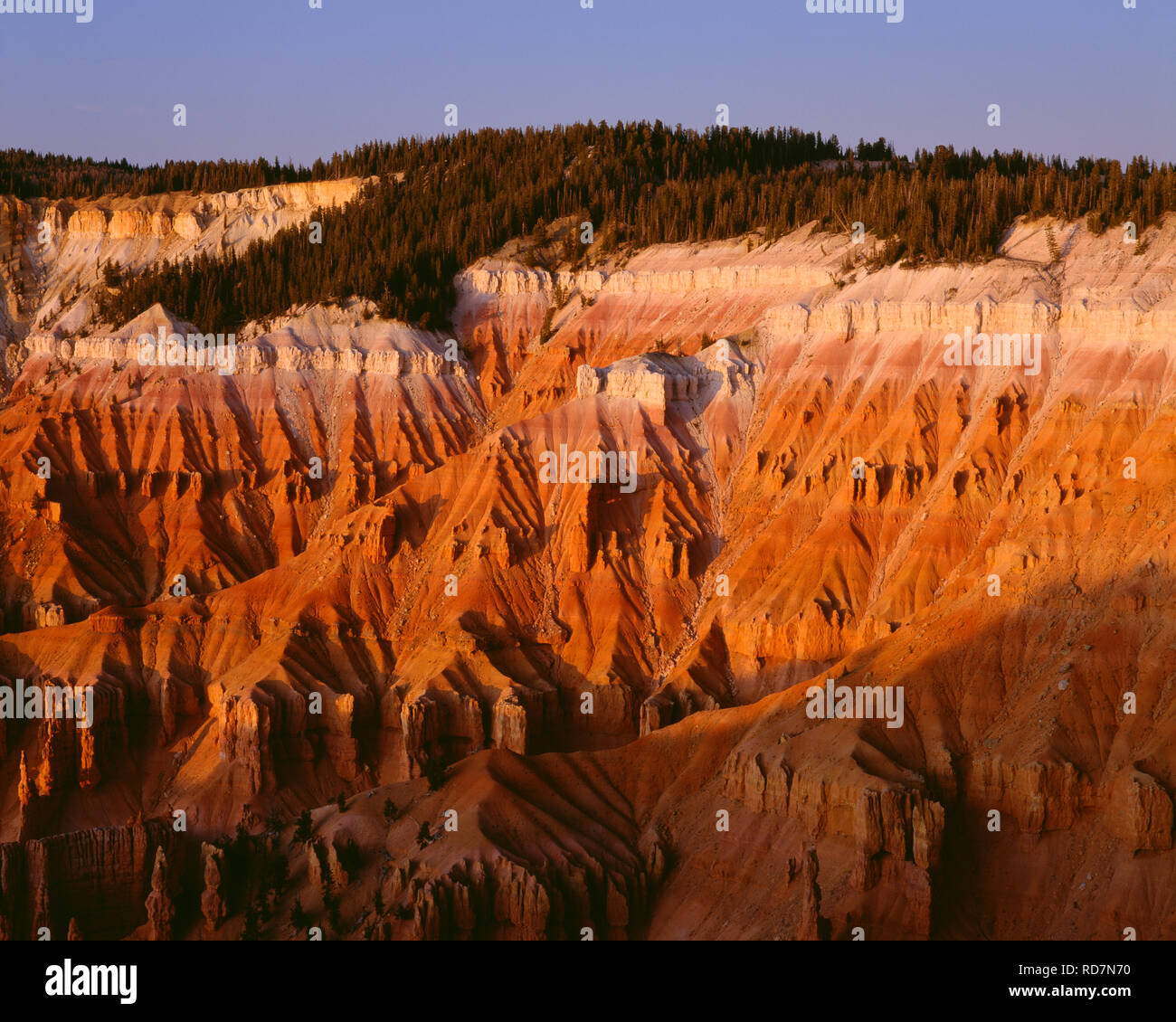 USA, Utah, Cedar Breaks National Monument, Sonnenuntergang wärmt erodierten Formationen, Blick nach Norden vom Obersten. Stockfoto