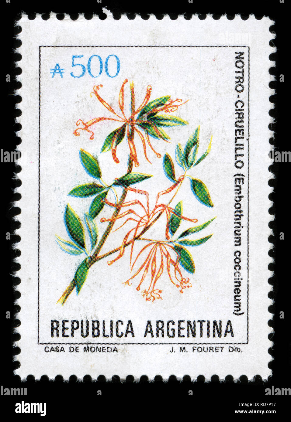 Briefmarke aus Argentinien in den Blumen Serie in 1989 erteilten Stockfoto