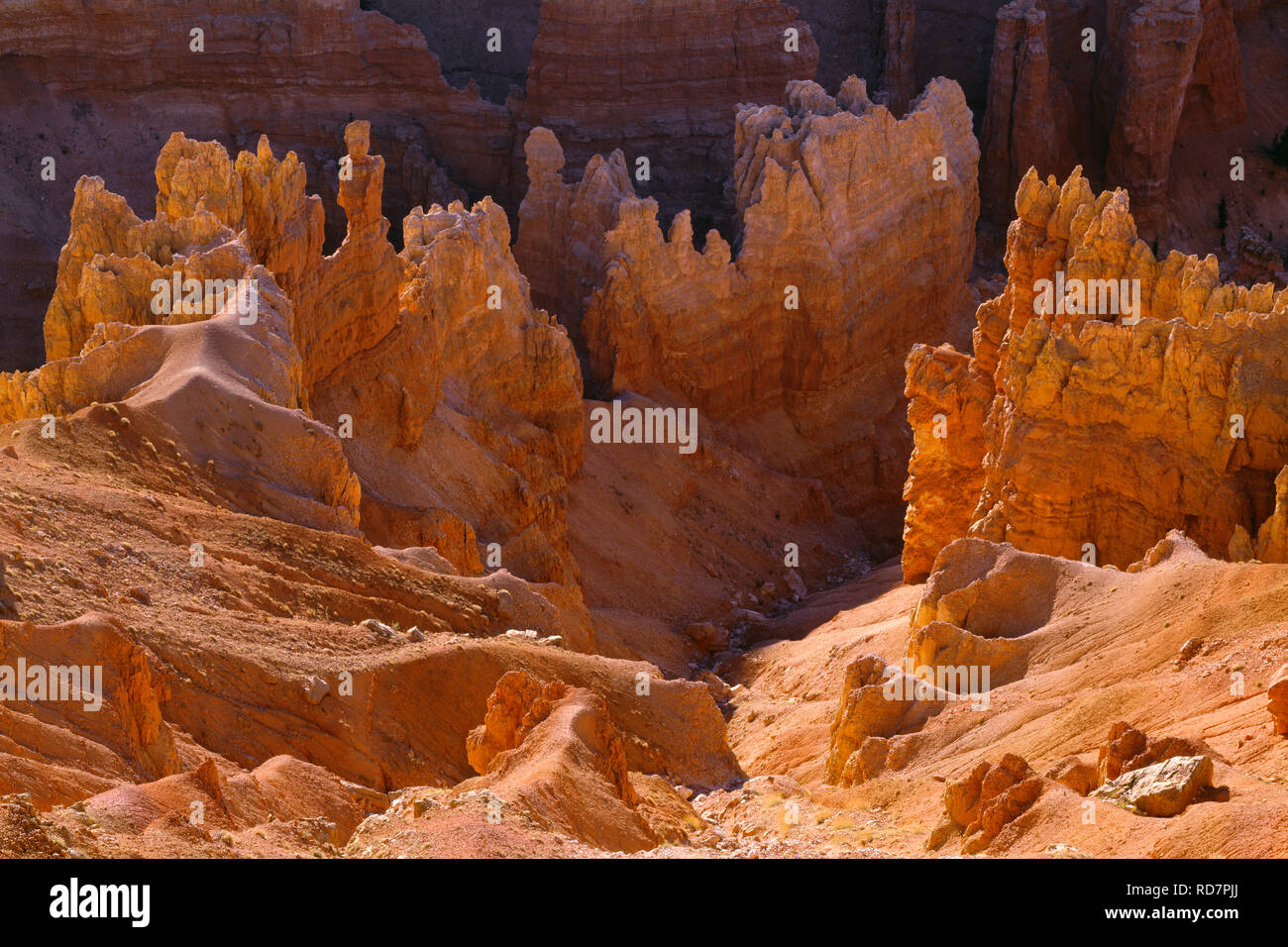 USA, Utah, Cedar Breaks National Monument, erodiert Sandstein Formationen unter Punkt Supreme bei Sonnenuntergang. Stockfoto