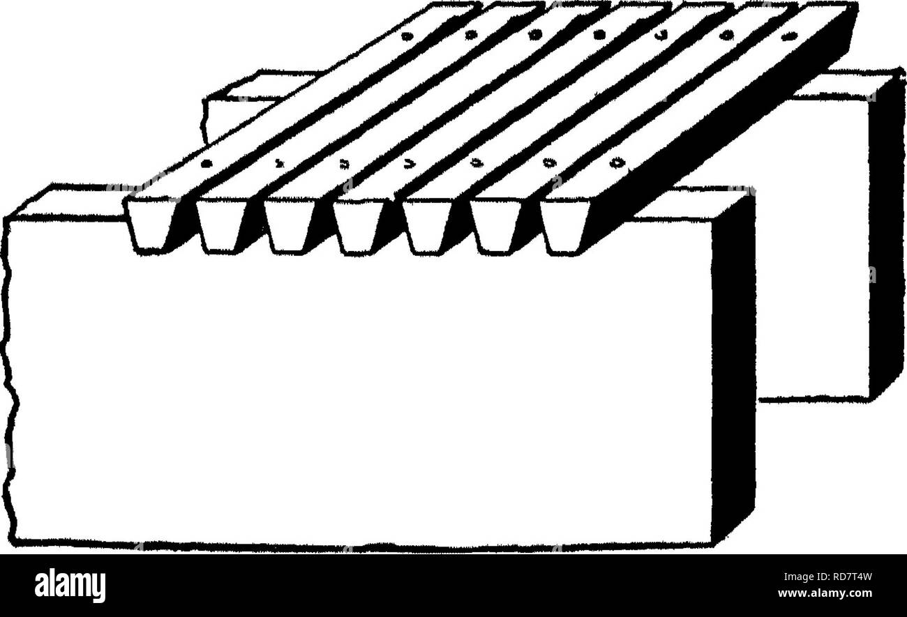 . Die Enzyklopädie der praktischen Gartenbau; eine Referenz System der kommerziellen Gartenbau, über die praktische und wissenschaftliche Phasen der Gartenbau, mit besonderem Bezug auf Obst und Gemüse;. Gartenarbeit; Obst - Kultur; Gemüseanbau. Enzyklopädie OP PRAKTISCHE GARTENBAU sowie througli, tlie geltend gemacht, dass diese moTement Luft bewirkt eine schnellere Trocknung der Früchte als in gewöhnlichen Methoden der Konstruktion. Brennofen ETaporators der Arten in ausreichender Kapazität für die Behandlung von Äpfeln aus große Kommerzielle Obstgärten, der brennofen Verdampfer ist hy Die impo Stockfoto