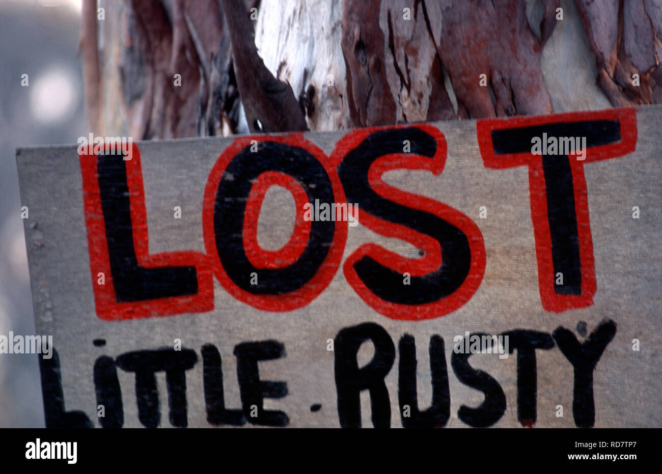 Verloren wenig rostiges SCHILD GENAGELT EUKALYPTUSBAUM, NEW SOUTH WALES, Australien Stockfoto