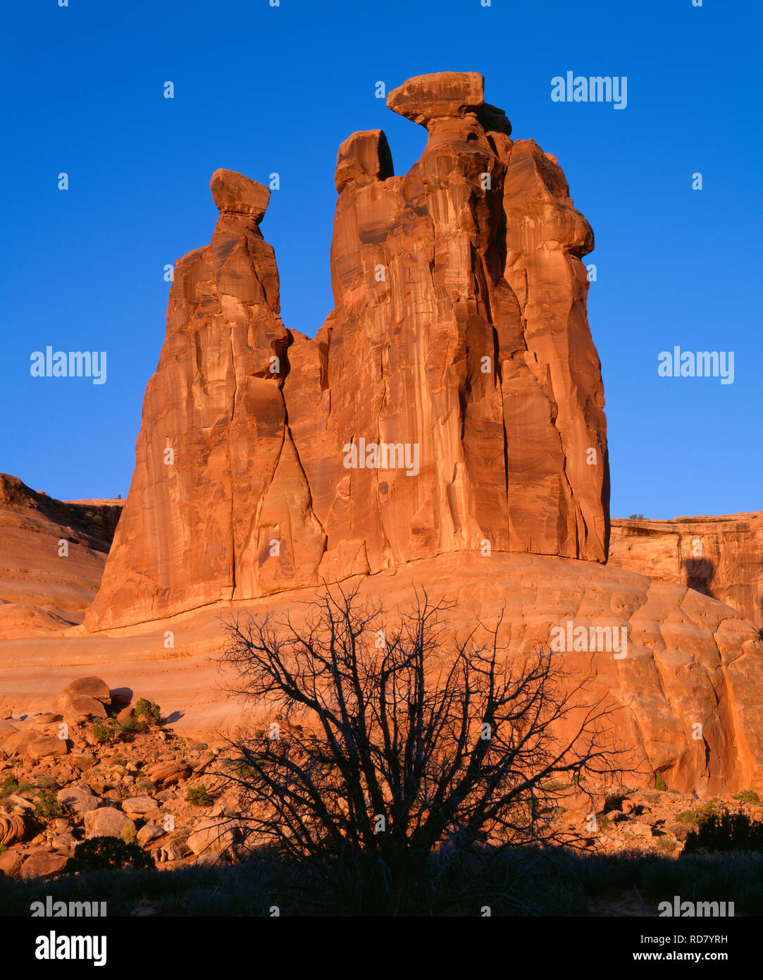 USA, Utah, Arches National Park, Sunrise Licht auf die drei Klatschbasen, die aus Entrada Sandstein. Stockfoto