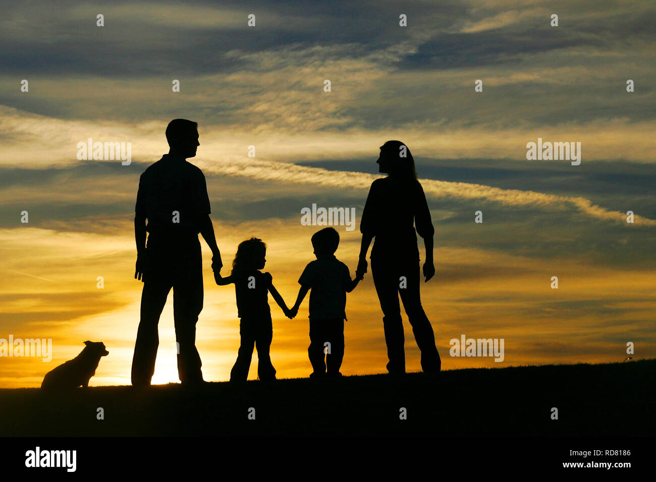 Die Silhouette eines Familie und ihrem Hund halten sich an den Händen während einer Portrait Session bei Sonnenuntergang in Phoenix, Arizona Stockfoto