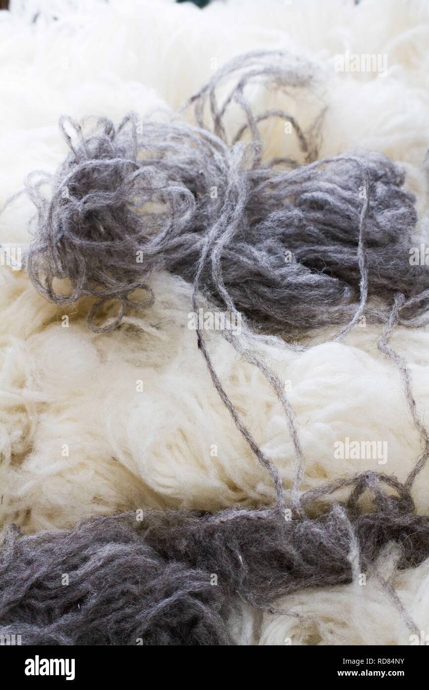 Weiße und graue wolle, nachdem sie aus gewebten Faden gesponnen worden, in Woollen Mill Stockfoto