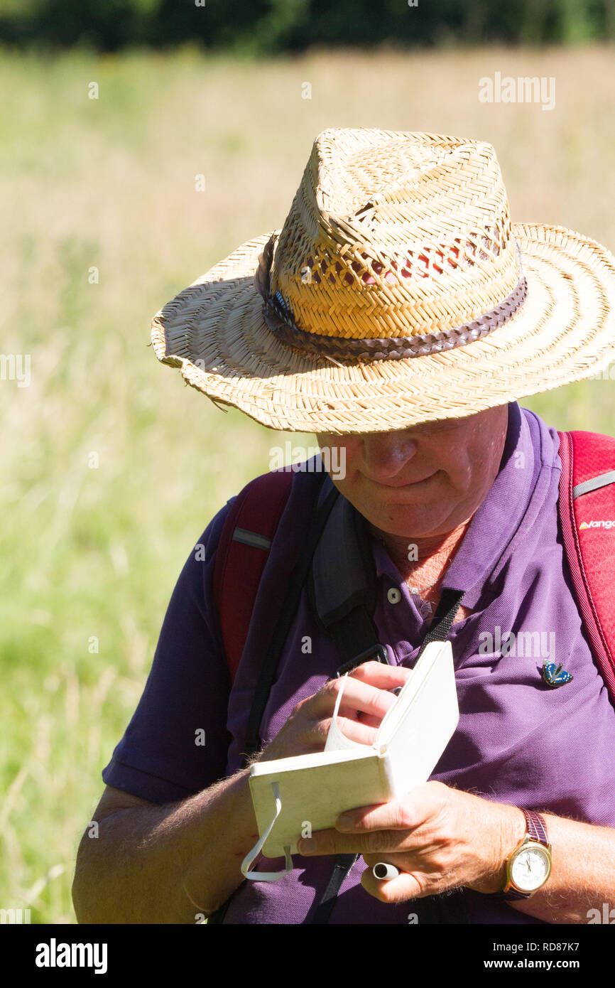 Mathew Oates, (in lila Hemd bekleidet) Welt Experte auf lila Kaiser Schmetterling (Colias Iris), zählen diese Art an Knepp Rewilding Immobilien, wo diese seltene Schmetterlingsarten exponentiell zugenommen hat, weil der rewilding Management - Surfen durch halb wilden Tamworth Schweine und Englisch Longhorn Rinder und verschiedene Hirsche Arten. Stockfoto