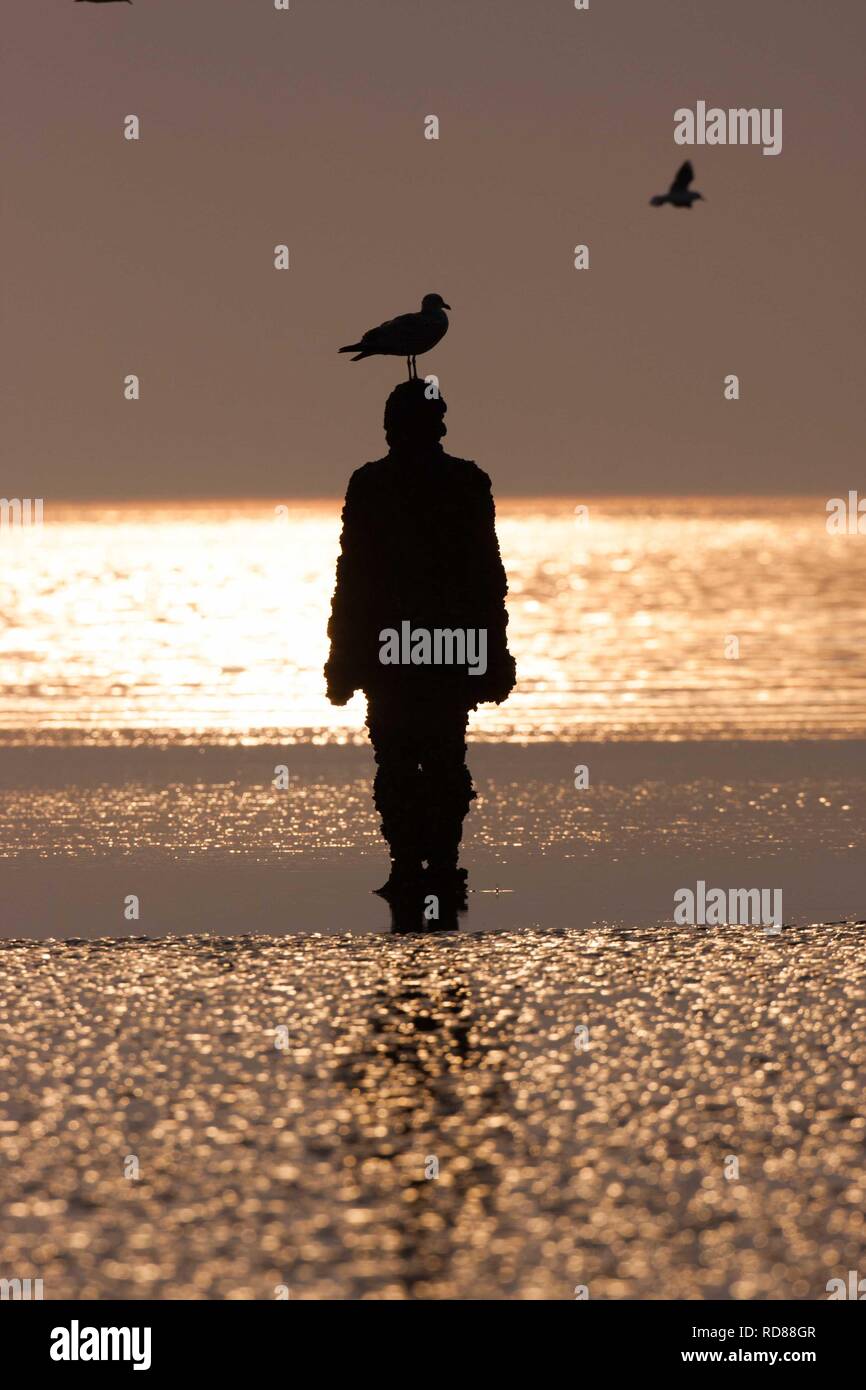 Sir Antony Gormley gemeißelte Figuren mit Möwe auf dem Kopf bei Sonnenuntergang, einen anderen Ort Stockfoto