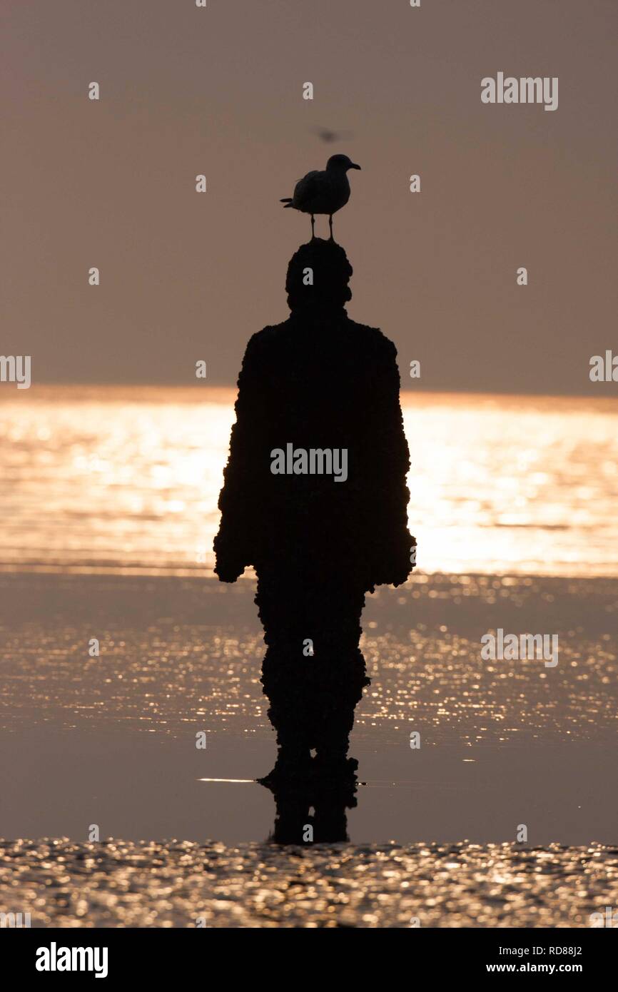 Sir Antony Gormley gemeißelte Figuren mit Möwe auf dem Kopf bei Sonnenuntergang, einen anderen Ort Stockfoto