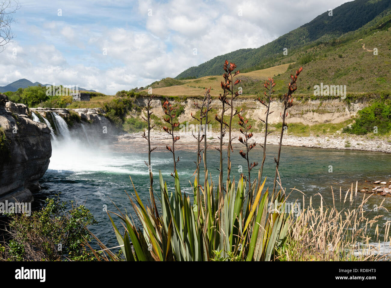 Maruia Falls South Island, Neuseeland Stockfoto