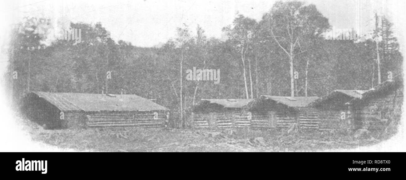 . Wald- und Naturschutz in Maine, 1919. Die Wälder und die Forstwirtschaft. Vorwort XXXI Diejenigen, die eine Studie über solche Fragen machen und klug sind, in der Art von Insekten, die mit Überzeugung, dass Insekten sind der größte Feind, dass der Mensch Angst hat. Sie behaupten, dass, wenn alle Prüfungen von Insekten entfernt wurden alle Lebewesen auf der Erde innerhalb von drei Jahren zugrunde. Zuerst werden alle Vegetation würde de-voured und dann alle Tiere, einschließlich Menschen, würde Suc-cumb zu Hungersnöten. Dass dies wahr sein können wir auch glauben, wenn man bedenkt, wie hilflos der Mensch ist gegen die unzähligen hor Stockfoto