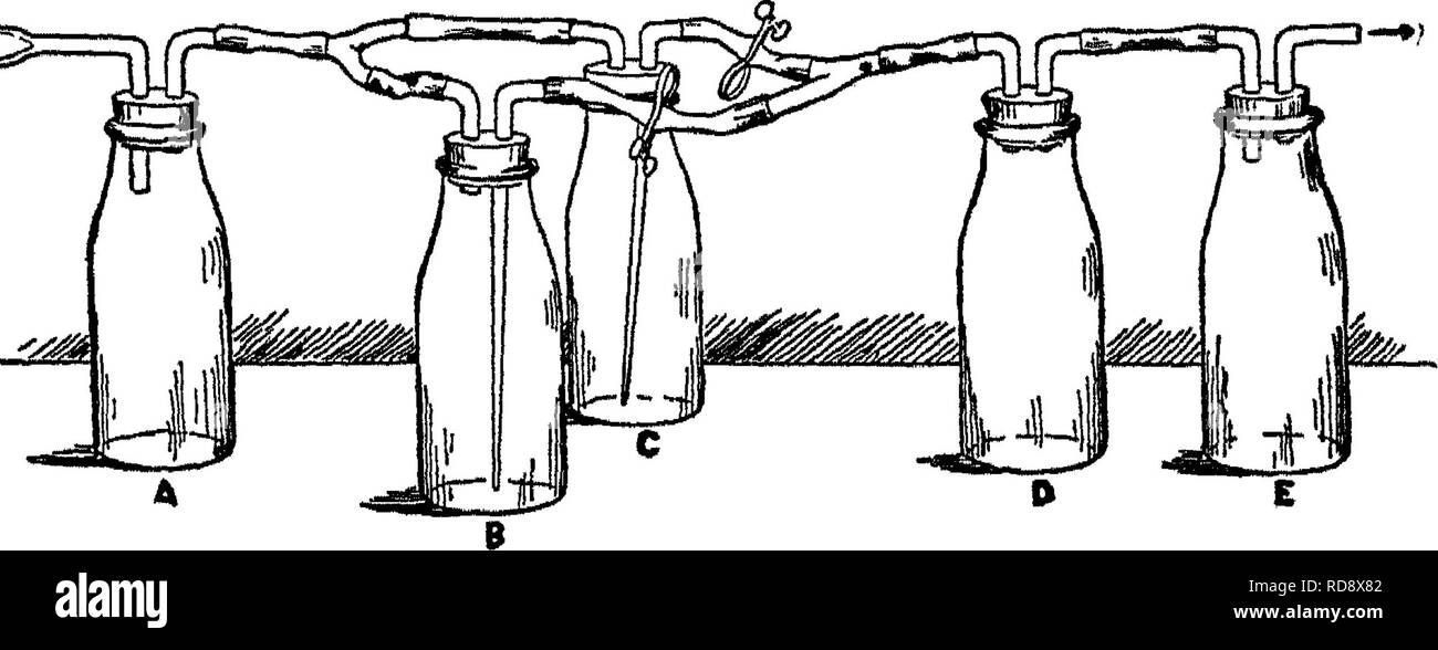 . Ein Labor Handbuch des Bodens Bakteriologie. Bodenmikrobiologie. Kapitel XI Besondere Methoden für eine ausführliche Diskussion der Sterilisation siehe eines der Standardwerke auf bakteriologische Technic. Hier nur spezielle Phasen dieses Thema berücksichtigt werden. Seed Sterilisation.-^ Obwohl eine große Anzahl von Methoden mit verschiedenen Agenten haben für das Entfernen der Mikro-organismen empfohlen worden, die aus Saatgut, um nur einige der viel versprechenden, werden gegeben. Wo Es ist nicht erforderlich die Samen frei von Bakterien zu machen, sondern lediglich die Mehrheit der Flora zu zerstören, kann Alkohol verwendet werden. Abb. Ii - Apparatu Stockfoto