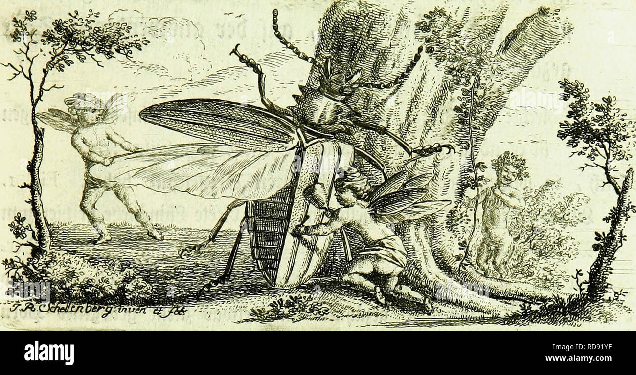 Kennzeichen Der Kampfen Sterben Nach Anleitung Des Ko Nigl Schwed Ritters Und Leibarzts Karl Von Linne Durch Xxiv Entomologie Lufcv 4 T 3 9 31a T U V W I F T E M