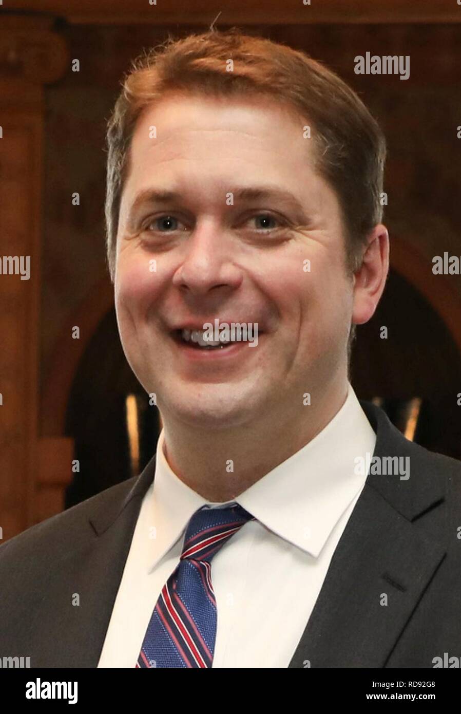 Andrew Porträt Stil Scheer (7/8). Stockfoto