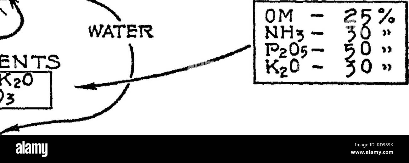 . Die Art und die Eigenschaften der Böden; ein Kollegium Text von edaphology. Böden. Tier - Dünger - MAHURIAL VERLUSTE OM-50%" NHs - 60&gt; Pz O 5-40" K2O-65 "y^W^^^^^^^^^^^^^^^^^^^^^^^^^^ mM mmm ^j^0' PROZENTSATZ DER COWSÂ "TITUENTS OP ERNTEGUT ADI 3 ED ZU BODEN WASSER 301 L NUTRIEMT 3 CaO, 30? . Auslaugen Abb. 63.â^ Grafik, die den Anteil des Ernteguts in den Boden farm Dünger unter durchschnittlichen Bedingungen hinzugefügt. Es ist leicht zu sehen, dass eine liberale Abrichten der Gülle auf dem Heu und Weide, werden deutlich die Pflanzen wachsen. Neverthe - weniger, als Dünger ist in begrenzten Mengen auf dem Durchschnitt der Farm verfügbaren a Stockfoto