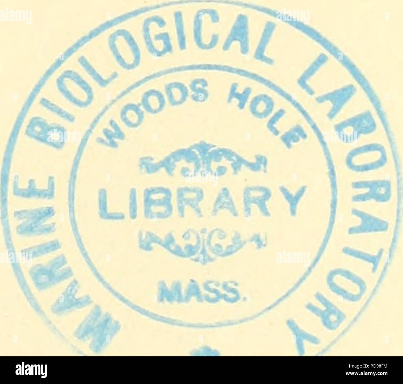 . Einführung in die vergleichende Anatomie der Wirbeltiere, für Studierende. Sach reeist er. 471 Seite Sehorgan, Hilfsorgane des.... 364 Seitenlinie 230 Sinnesoi' Gane 227 im allgem. . 227 - 228 der Haut 228 Haxitsinnesorgane der Fische und Bin-Phibien.... 228, Reptilien, Vögel und Säuger 231 - 236 Skelett". 26 - 151 210 Spino-occipitale Spinalnerven Nerven 221 Spiralklappe (des Darmes).... 313 Spritzloch (Spiraculum) 73 Stäbchen Zellen (Eudknospen). 228 - 232 Steruum. . 56 "der Amphibien..... 56, 56, "Eeptilien" Vögel, Säuger 58", 58, "Sympathicus, Eutwicke-lung des 22. Stockfoto