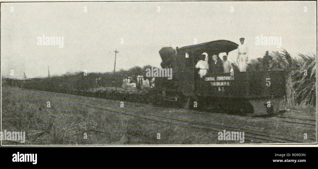 . Der Kuba zu überprüfen. Kuba -- Zeitschriften. 30 DIE KUBA REVIEW ZUCKERROHR TRANSPORT IN PORTO RICO die Bedingungen in der begleitenden showni ilhistrations - werden. in einem measxire, Konto für die Tatsache, in acht Jahren, Porto Rico hat ahiiost verdoppelte seine Ausfuhr von Zucker, die Zahlen für 1909 zeigen Lange 244,257 Tonnen exportiert, während für 1917 die Schätzungen bis zu 412.000 lange Mareh 81 Tonnen. Die Zahlen geben nicht nur einen großen Anstieg der Anbaufläche l) ut auch verbesserte Methoden für den Umgang mit dem Stock. Diese Szenen wurden im Central Constancia, Toa Baja, S. R. Diese Plantage ist der prop fotografiert. Stockfoto