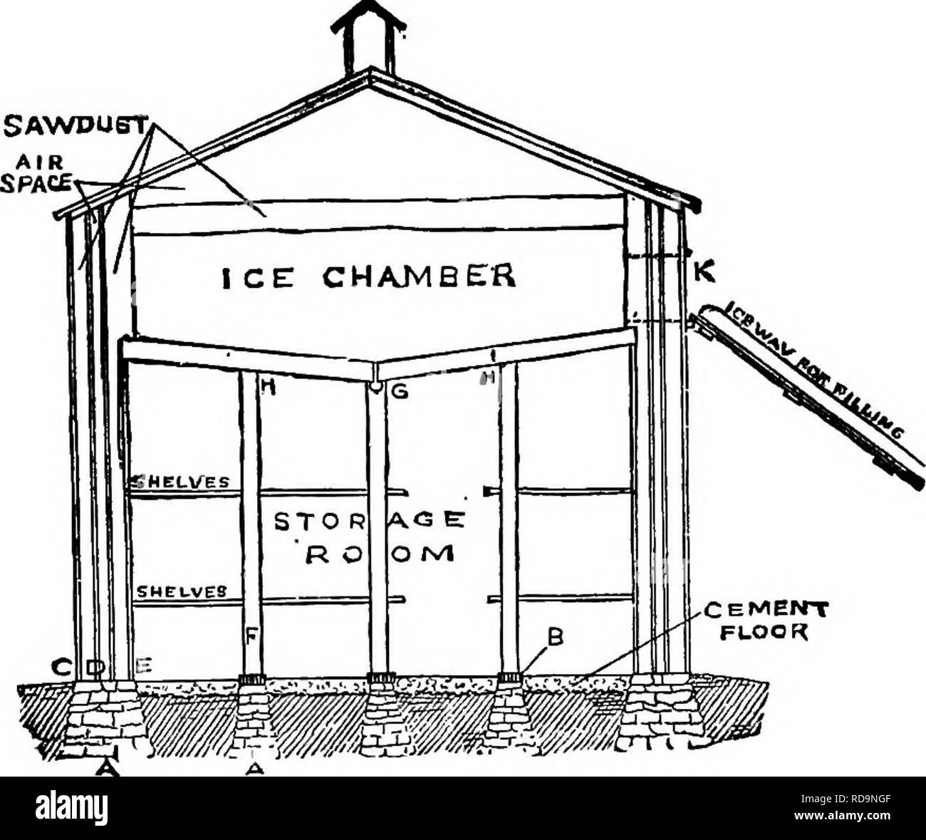 . Handbuch der Gartenarbeit: ein praktischer Leitfaden für die Herstellung von zu Hause und dem Anbau von Blumen, Obst und Gemüse für zu Hause. Im Garten arbeiten. 160 HANDBUCH DER GARTENARBEIT erwartet, wenn sie in einem Haus für den Zweck, in der die Temperatur gleichmäßig ist und die Luft relativ feucht gehalten werden kann. Wenn aus Türen gespeichert, sind sie wahrscheinlich zu Gefrieren und Tauen Sie abwechselnd, und wenn das Wasser läuft in die Köpfe, Unfug Ergebnisse. Manchmal sind sie einfach in eine konische Heap auf gut-durchlässigen Boden gestapelt gelagert und mit trockenem Stroh,. 189. Eine Frucht Lagerung von Eis gekühlt. Und die St Stockfoto