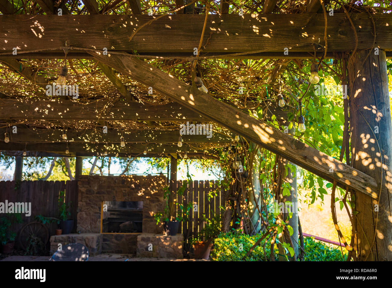 Einen schattigen Außenbereich Wohnbereich, mit einer Pergola von Glyzinien, beleuchtet durch eine Zeichenkette von Glühbirnen. Stockfoto