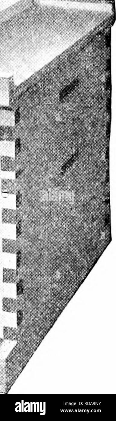 . Langstroth auf dem Hive & Amp; Honig Biene. Bienen. Abb. S3. Abgestimmt auf LOCK COL.VER BIENENKORB. Die M'ill passen über entweder die oder der zweite storjr flrst. Wir bevorzugen die tialf - Geschichte Kappe, die bereitwillig Hlled mit Bindemittel für AA' kann, und ist zu anj'st^-le von Statisten.* 355 angepasst. Die Caps müssen frei leuchtet so leicht entfernt werden. Sie können von leichter Bauholz gemacht, als der Körper des Hives, Sa'e Ermüdung zu (er Apiarist im Umgang mit ihnen. Die Oberseite der Hive müssen mit wasserdichten. Risse, Knoten ami Nähte vermieden werden sollte, oder sollte gründlich * lackiert werden. Dieser Begriff wird Benutzer! Durch. Apiarist Stockfoto