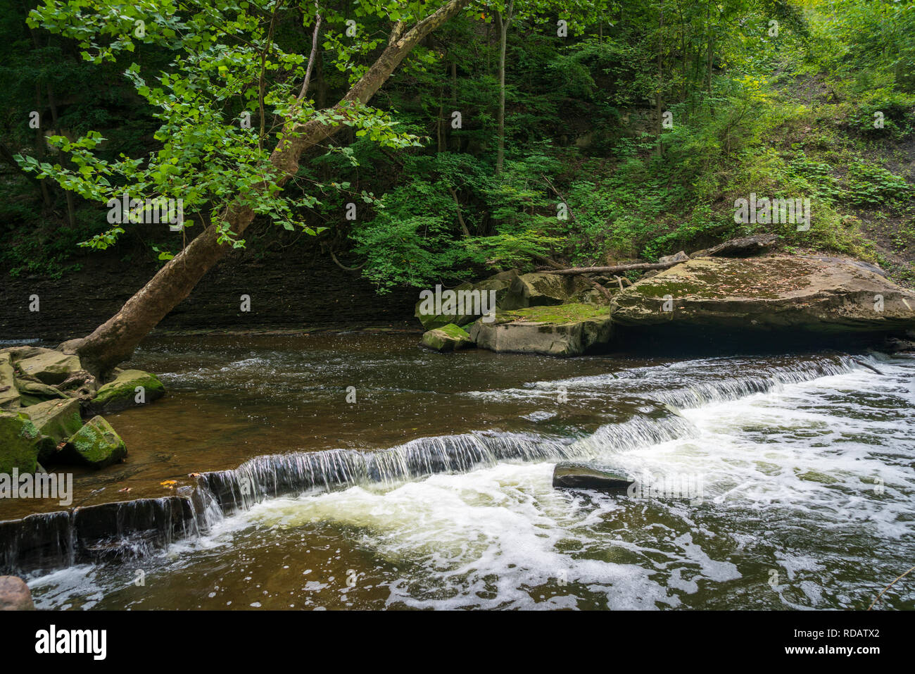 Vidaduct Park außerhalb von Bedford in Cleveland, Ohio. Stockfoto