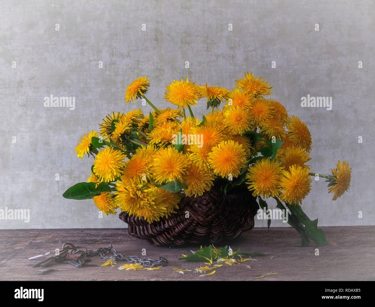 Stillleben mit Blumenstrauß aus Löwenzahn Stockfoto