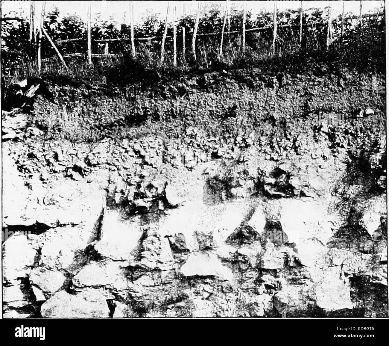 . Die Verfütterung von Getreide und Lager: eine Einführung in die Wissenschaft der Ernährung von Pflanzen und Tieren. Böden; Düngemittel; Pflanzen ; Tierernährung ; landwirtschaftliche Chemie. Abb. x 6.- Bildung von Bewegungsarmut im Boden. [Gesicht Seite 78.. Bitte beachten Sie, dass diese Bilder sind von der gescannten Seite Bilder, die digital für die Lesbarkeit verbessert haben mögen - Färbung und Aussehen dieser Abbildungen können nicht perfekt dem Original ähneln. extrahiert. Hall, Daniel, Sir, 1864-1942. London: J. Murray Stockfoto