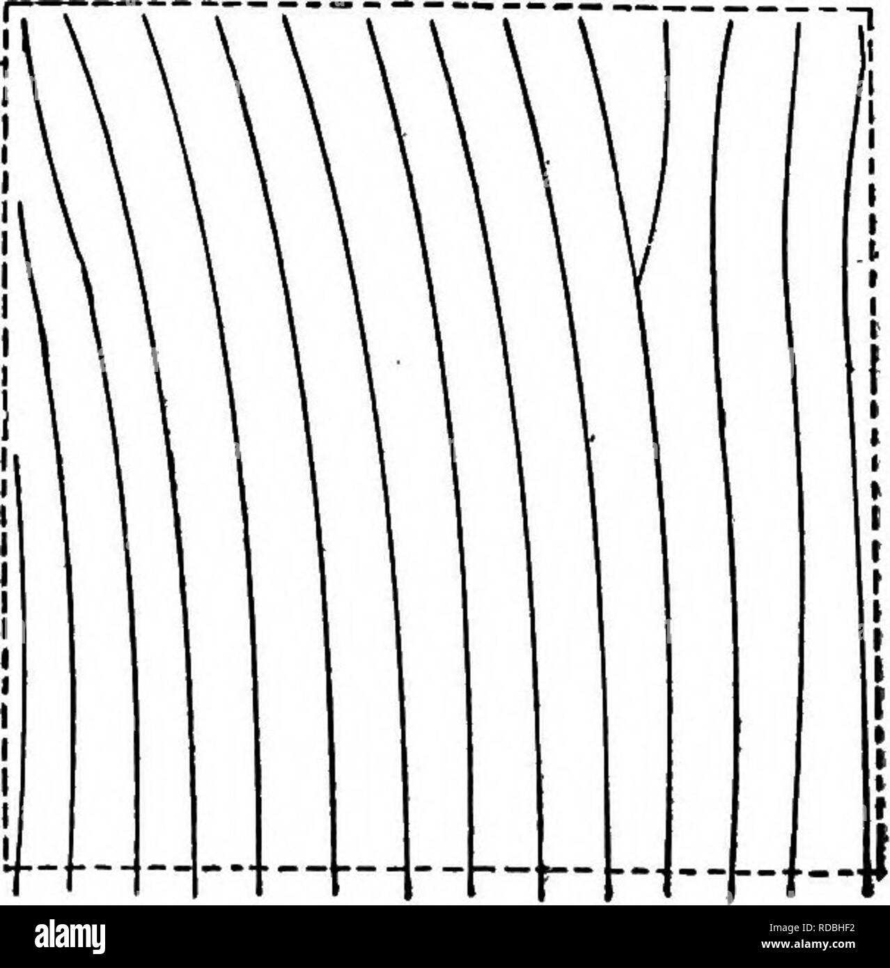 . Cyclopedia der amerikanischen Gartenbau, bestehend aus Anregungen für den Anbau von Gartenpflanzen, Beschreibungen der Arten von Obst, Gemüse, Blumen und Zierpflanzen in den Vereinigten Staaten und in Kanada verkauft, zusammen mit geographischen und Biographische Skizzen. Im Garten arbeiten. 738. Falsche Methode der ablassen: ein Feld. Als ablassen, und nur eine Steckdose erforderlich (Schwein. 740). Die Abflüsse durch die Wasser läuft für den größeren Teil des Jahres wahrscheinlich sind durch Wurzeln behindert zu werden, wenn Wasser-liebenden Bäume, wie die Weide, Ahorn und Ulme, erlaubt werden, in der Nähe von Ihnen zu wachsen. Wenn der Schwimmer Stockfoto