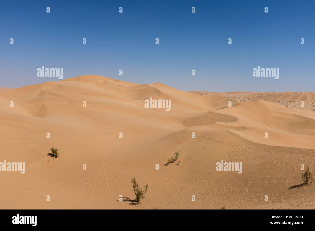 Die Wüste und Dünen der Leere Viertel, auch als Rub' al Khali, in der Nähe von Salalah, Oman bekannt Stockfoto