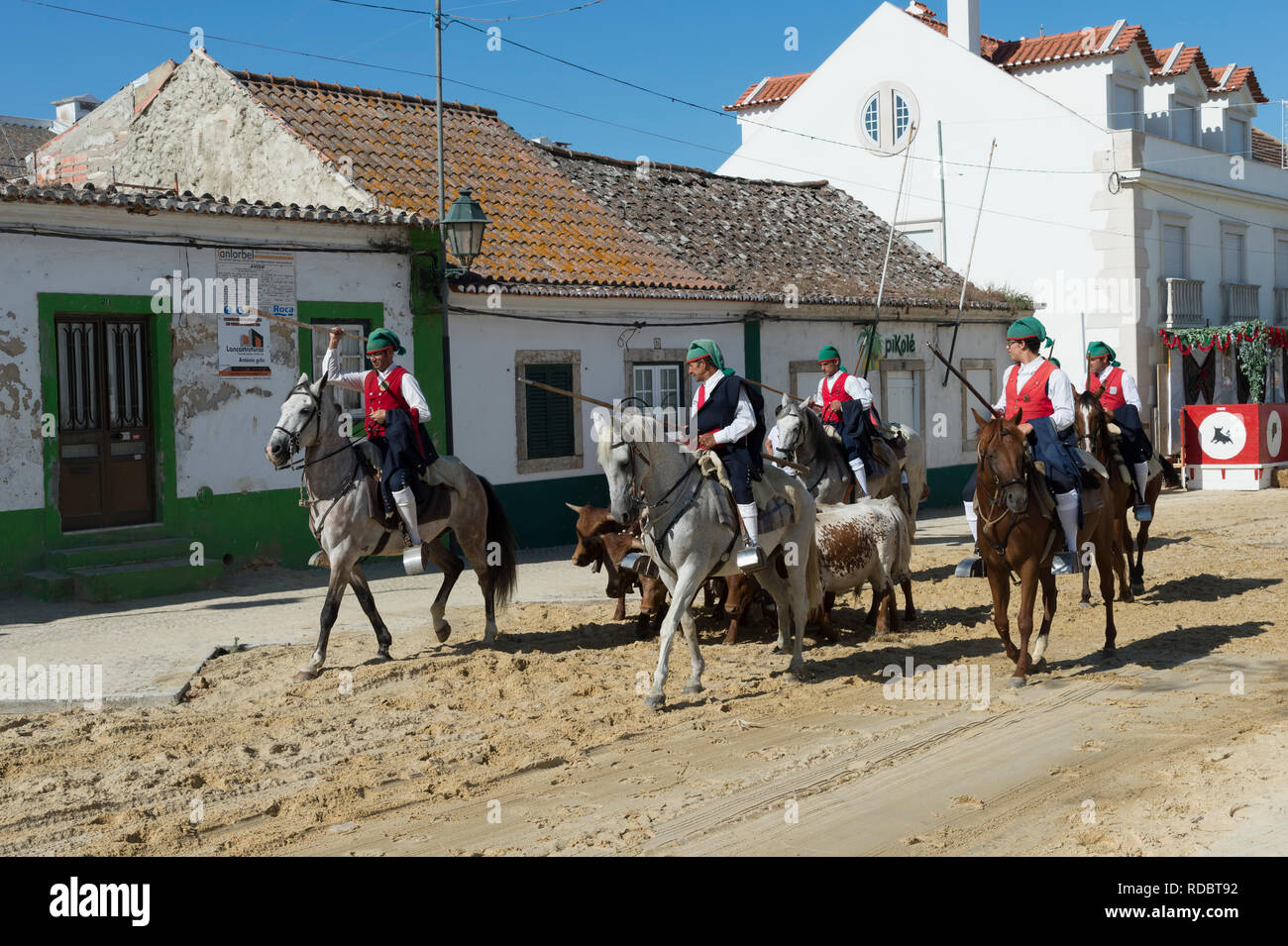 Die Parade der Gespanne und die Stiere in den Straßen während der festas do Barrete Verde e das Salinas, Provinz Alcochete, Setubal, Portugal Stockfoto