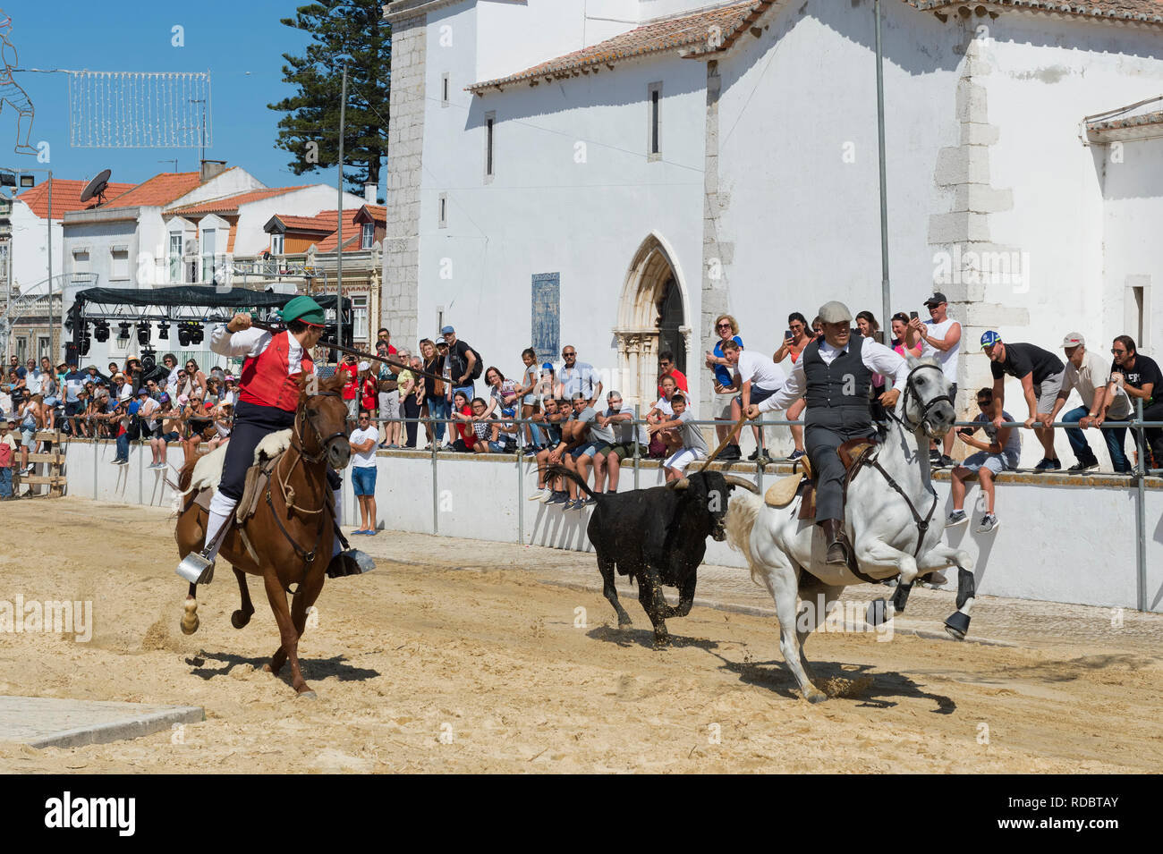 Wilde Bullen laufen und Reiter in den Straßen von Verbleitem, Festas do Barrete Verde e das Salinas, Provinz Alcochete, Setubal, Portugal Stockfoto