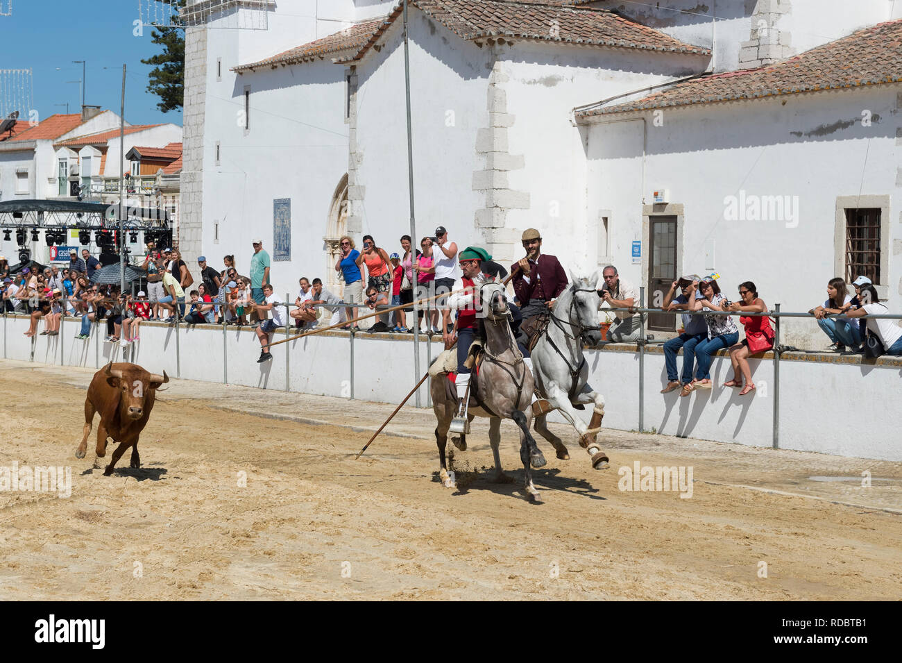 Wilde Bullen laufen und Reiter in den Straßen von Verbleitem, Festas do Barrete Verde e das Salinas, Provinz Alcochete, Setubal, Portugal Stockfoto