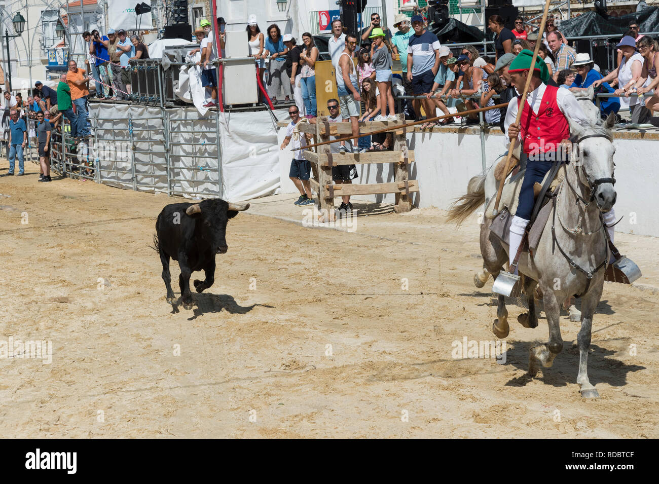 Wilde Bullen laufen und Reiter in den Straßen von Verbleitem, Festas do Barrete Verde e das Salinas, Provinz Alcochete, Setubal, Portugal Stockfoto