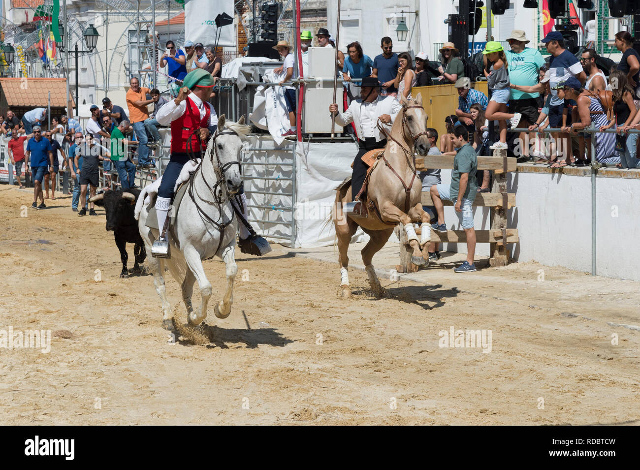 Wilde Bullen laufen und Reiter in den Straßen von Verbleitem, Festas do Barrete Verde e das Salinas, Provinz Alcochete, Setubal, Portugal Stockfoto