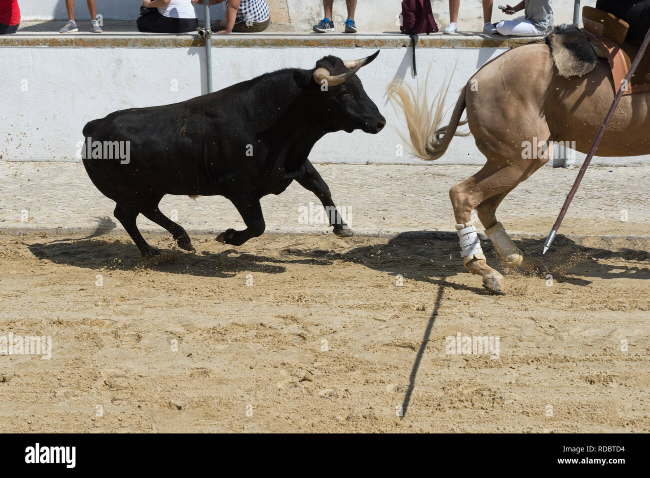 Wilde Bullen laufen und Reiter in den Straßen von Verbleitem, Festas do Barrete Verde e das Salinas, Provinz Alcochete, Setubal, Portugal Stockfoto