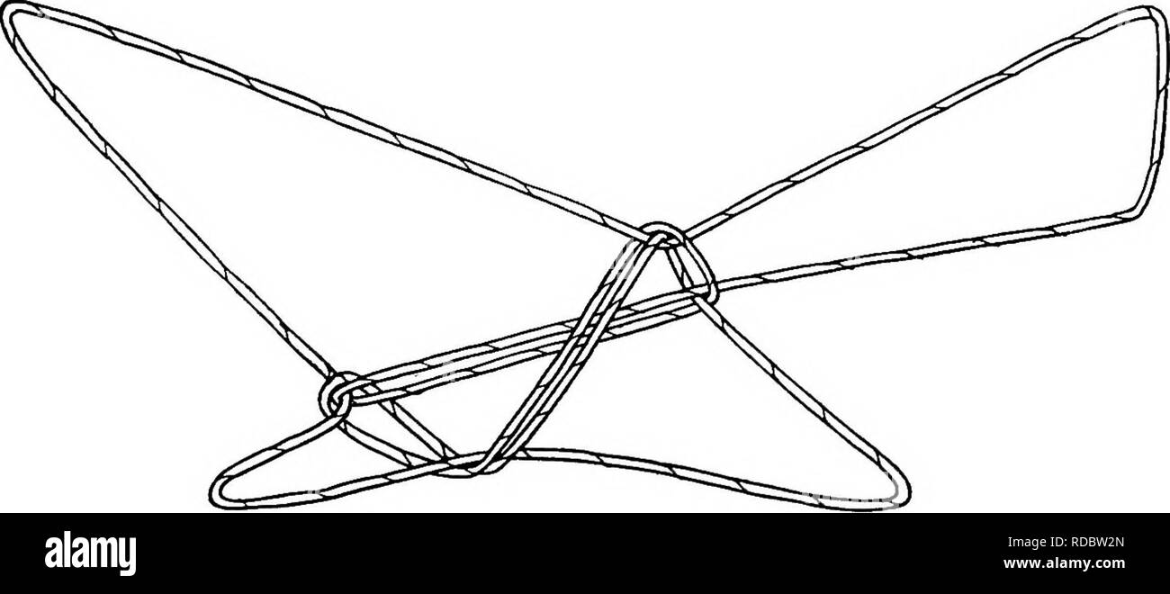 . Bericht der Kanadischen Arktis Expedition 1913-18. Wissenschaftliche Expeditionen. Eskimo String Zahlen 115b Als wäre dies noch nicht kompliziert genug gibt es ein viertes Bild, etwas ähnlich in seinen Bewegungen, der einige Barrow, genannt "die Eule" und dessen Fortsetzung "LEMMING" (avmj' aq), während andere Barrow Eingeborenen, und auch einige Colville Fluss Eskimos, bezeichnete es als "das Schneehuhn und das Kaninchen"; ich glaube, das Mackenzie eingeborenen wissen es auch unter diesem Namen. Bis weitere Informationen von anderen Orten ist es ganz unmöglich ist, w entscheiden Stockfoto